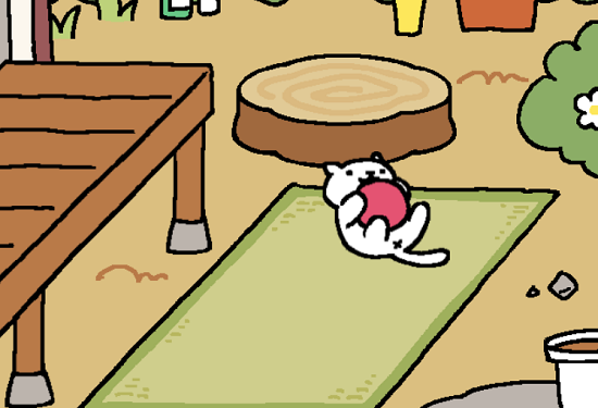 待った結果・・・。